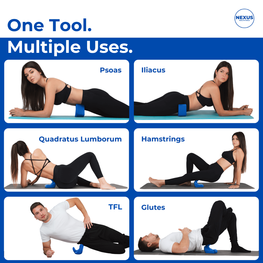 Core Nexus placements for psoas, iliacus, quadratus lumborum, hamstrings, TFL and glutes.